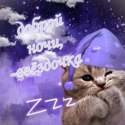 Открытка «Доброй ночи»: Открытка доброй ночи с милым котиком в колпаке. Тэги: Спокойной ночи, Спокойной ночи, с пожел…