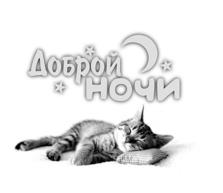 Открытка «Доброй ночи»: Спокойной ночи: милый спящий котик и пожелание. Тэги: Спокойной ночи, Спокойной ночи, с пожел…