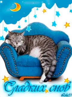 Открытка «Доброй ночи»: Доброй ночи: Спящий котик и сладкие сны. Тэги: Спокойной ночи, Спокойной ночи, с пожеланиями…