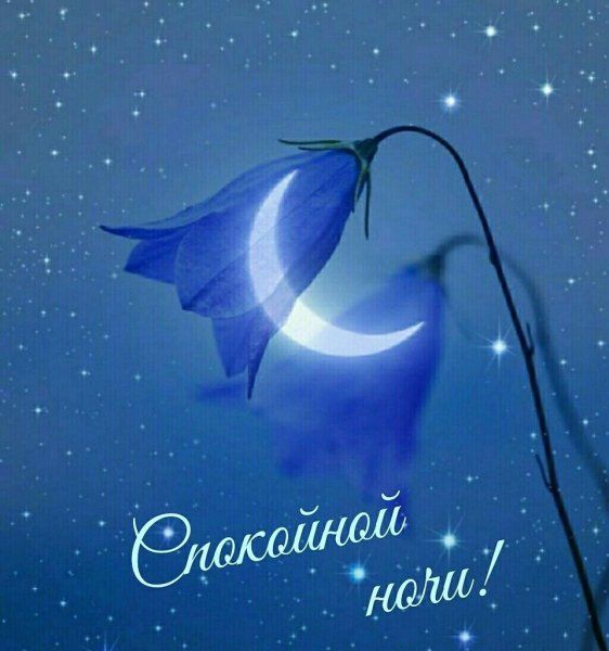 Открытка «Доброй ночи»: Спокойной ночи: Волшебный цветок и полумесяц. Тэги: Спокойной ночи, Спокойной ночи, красивые…