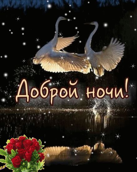 Открытка «Доброй ночи»: Доброй ночи: красивые лебеди и нежные розы. Тэги: Спокойной ночи, Спокойной ночи, красивые…