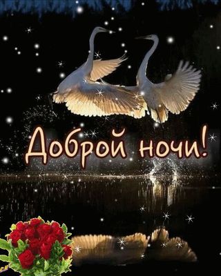 Открытка «Доброй ночи»: Доброй ночи: красивые лебеди и нежные розы. Тэги: Спокойной ночи, Спокойной ночи, красивые…