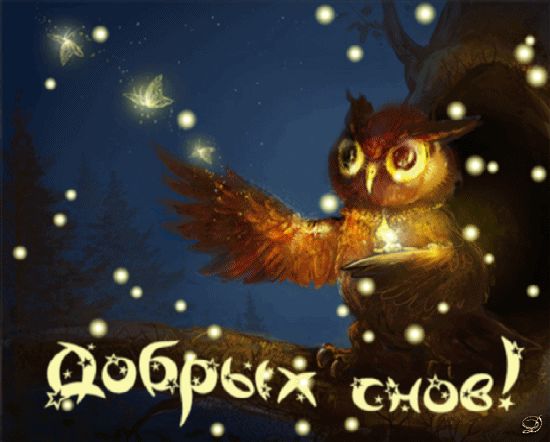 Открытка «Доброй ночи»: Доброй ночи: «Мудрая сова и волшебные светлячки». Тэги: Спокойной ночи, Спокойной ночи…