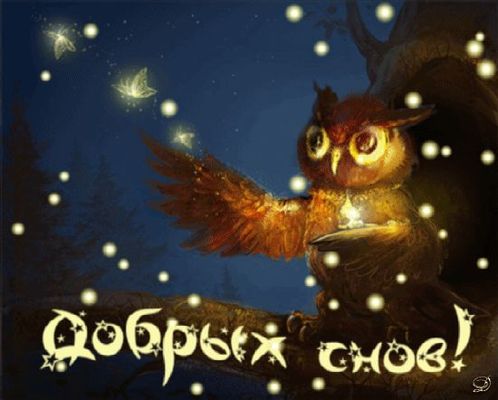 Открытка «Доброй ночи»: Доброй ночи: «Мудрая сова и волшебные светлячки». Тэги: Спокойной ночи, Спокойной ночи…
