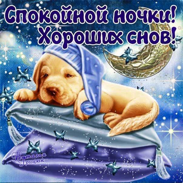Открытка «Доброй ночи»: Спокойной ночи: милый щенок на подушках. Тэги: Спокойной ночи, Спокойной ночи, с пожеланиями…