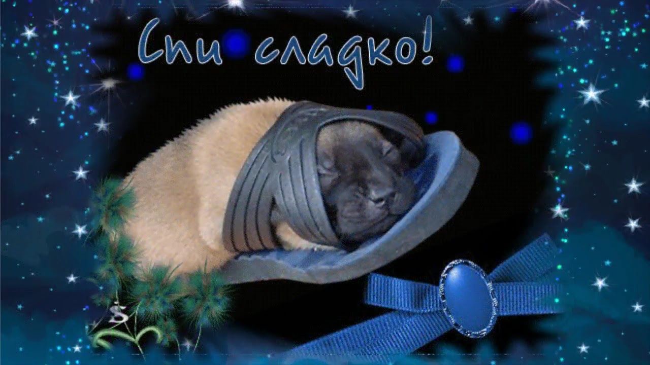 Открытка «Доброй ночи»: Доброй ночи: «Щенок в тапке» под звездным небом. Тэги: Спокойной ночи, Спокойной ночи, с поже…