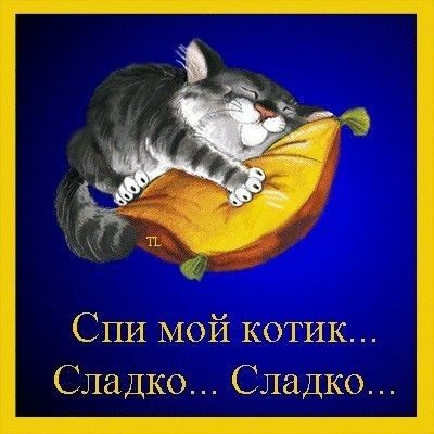 Открытка «Доброй ночи»: Открытка доброй ночи: Спи мой котик, сладко.... Тэги: Спокойной ночи, Спокойной ночи, с пожел…