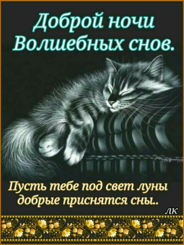 Открытка «Доброй ночи»: Доброй ночи: «Спящий кот и лунный свет». Тэги: Спокойной ночи, Спокойной ночи, красивые…