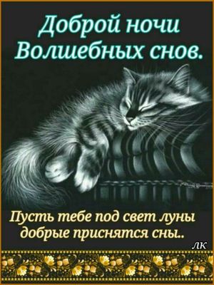 Открытка «Доброй ночи»: Доброй ночи: «Спящий кот и лунный свет». Тэги: Спокойной ночи, Спокойной ночи, красивые…