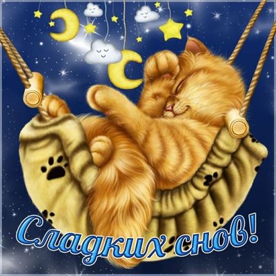 Открытка «Доброй ночи»: Спокойной ночи: Кот в гамаке и Сладких снов!. Тэги: Спокойной ночи, Спокойной ночи, с пожелан…
