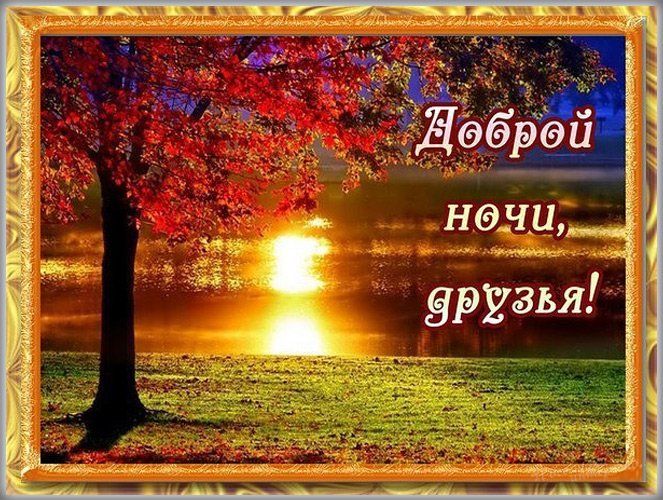 Открытка «Доброй ночи»: Доброй ночи, друзья: красивый закат и осеннее дерево.