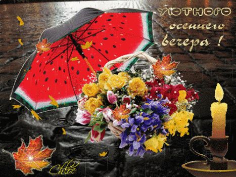 Открытка «Добрый вечер и пожелания»: Добрый вечер и пожелание уютного осеннего настроения. Тэги: Добыий вечер, гифки…