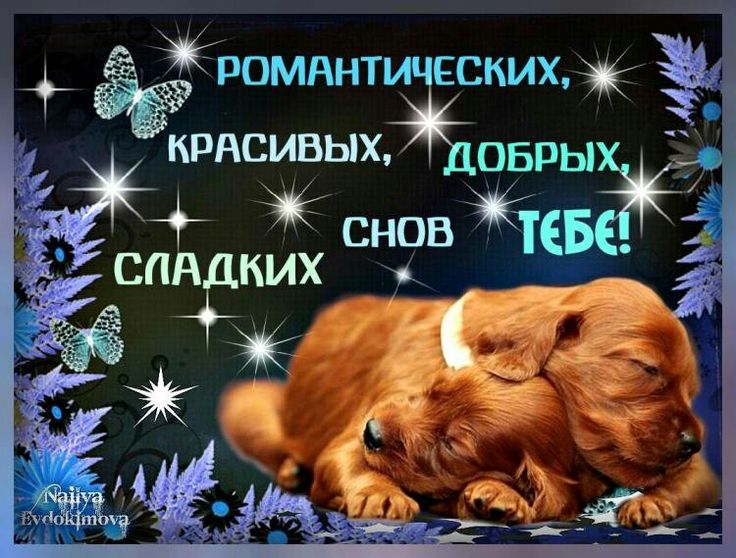 Открытка «Доброй ночи»: Доброй ночи: красивые и сладкие сны тебе. Тэги: Спокойной ночи, любимая женщина, любимый мужч…