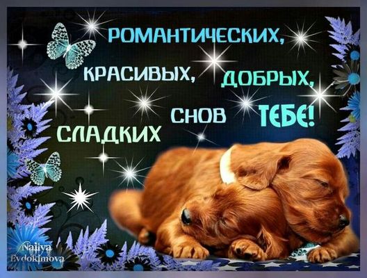 Открытка «Доброй ночи»: Доброй ночи: красивые и сладкие сны тебе. Тэги: Спокойной ночи, любимая женщина, любимый мужч…