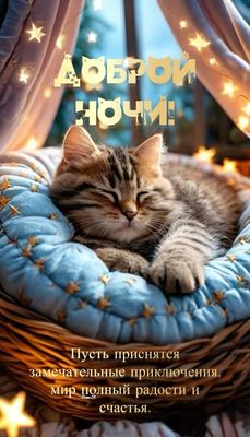 Открытка «Доброй ночи»: Доброй ночи: милый котенок и волшебные сны. Тэги: Спокойной ночи, Спокойной ночи, красивые…