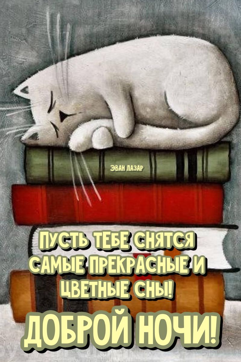 Открытка «Доброй ночи»: Доброй ночи: милый кот на стопке книг. Тэги: Спокойной ночи, пожелание, настроение, забавный…