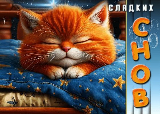 Открытка «Доброй ночи»: Сладких снов: рыжий котенок желает сладких снов. Тэги: Спокойной ночи, Спокойной ночи, с поже…
