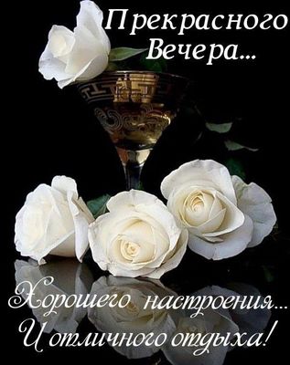 Открытка «Добрый вечер и пожелания»: Прекрасного вечера: открытка с белыми розами. Тэги: Добрый вечер красивые…
