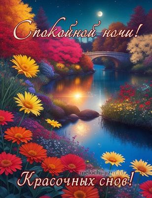 Открытка «Доброй ночи»: Спокойной ночи и красочных снов: открытка с цветами. Тэги: Спокойной ночи, Спокойной ночи…