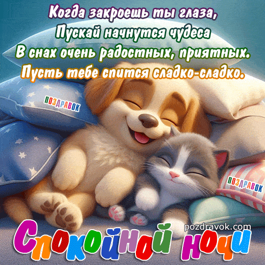 Открытка «Доброй ночи»: Спокойной ночи: милые кот и щенок на подушках. Тэги: Спокойной ночи, Спокойной ночи, с пожела…