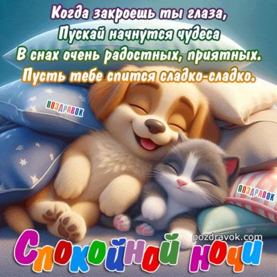 Открытка «Доброй ночи»: Спокойной ночи: милые кот и щенок на подушках. Тэги: Спокойной ночи, Спокойной ночи, с пожела…