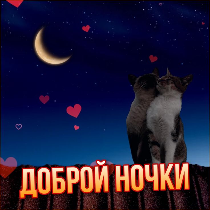 Открытка «Доброй ночи»: Доброй ночи: Влюбленные коты под луной. Тэги: Спокойной ночи, Спокойной ночи, с пожеланиями…