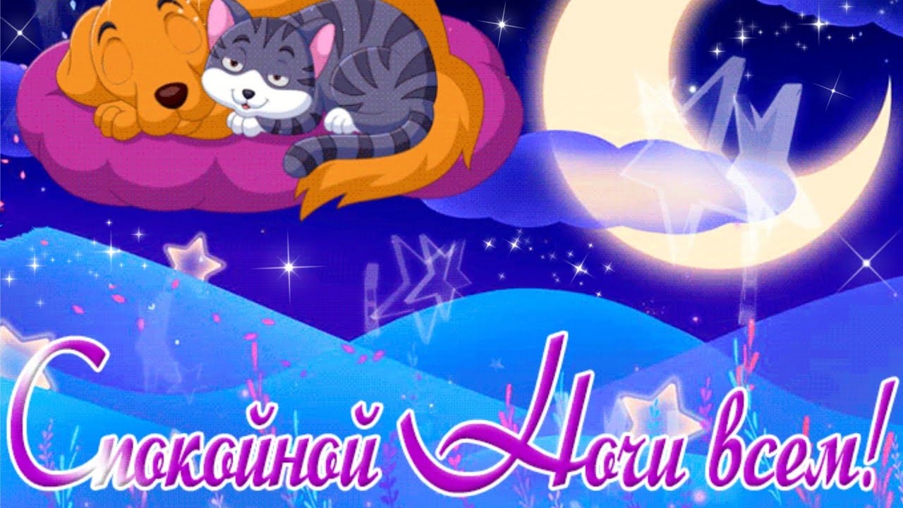 Открытка «Доброй ночи»: Спокойной ночи: милые кот и собака на облаке. Тэги: Спокойной ночи, Спокойной ночи, с пожелан…