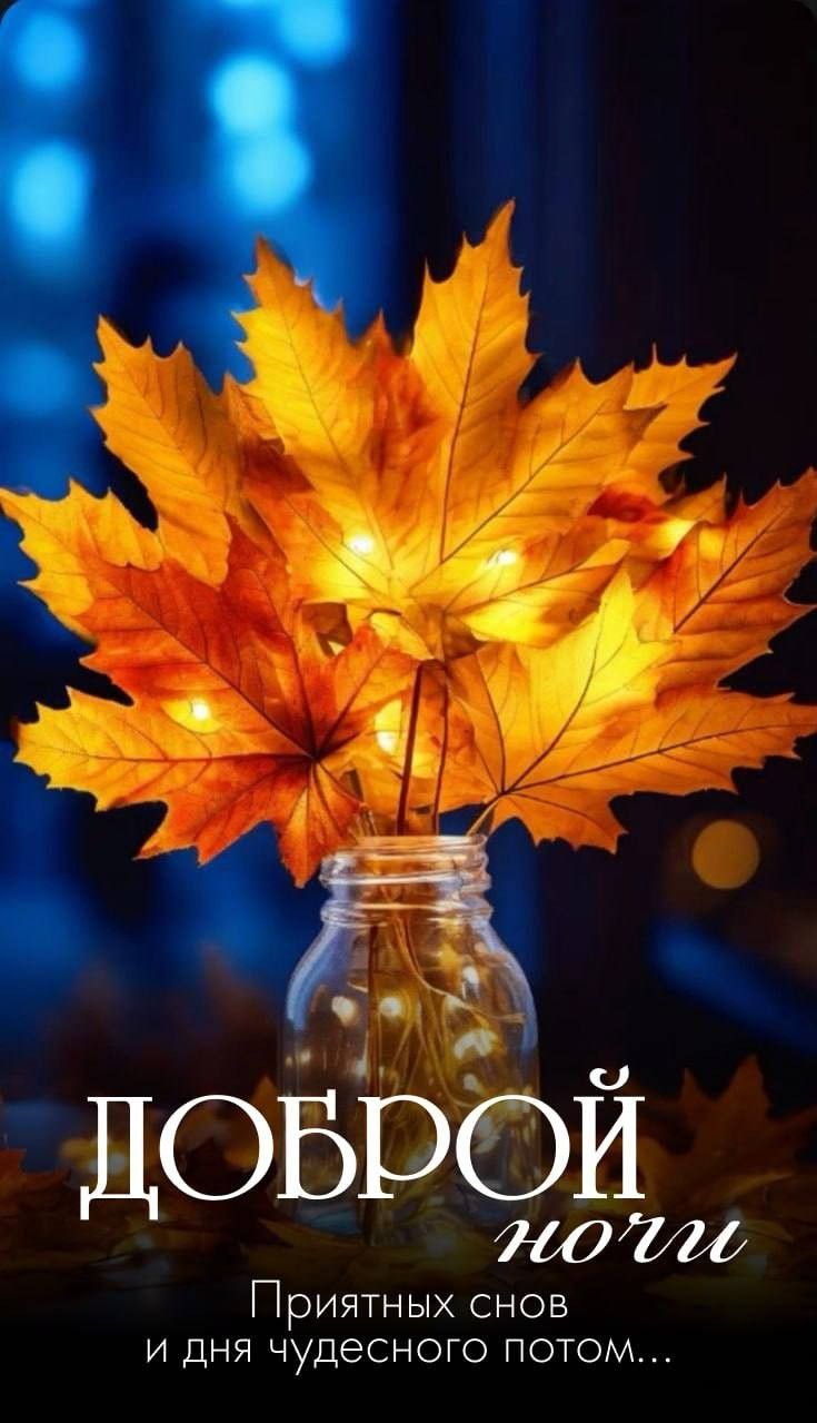 Открытка «Доброй ночи»: Спокойной и доброй ночи: осенний букет из клена. Тэги: Спокойной ночи, Спокойной ночи, красив…