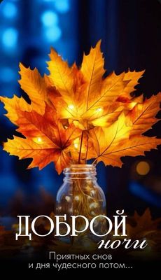 Открытка «Доброй ночи»: Спокойной и доброй ночи: осенний букет из клена. Тэги: Спокойной ночи, Спокойной ночи, красив…