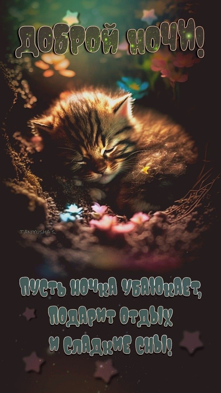 Открытка «Доброй ночи»: Доброй ночи: милый котенок и сладкие сны. Тэги: Спокойной ночи, Спокойной ночи, с пожеланиями…