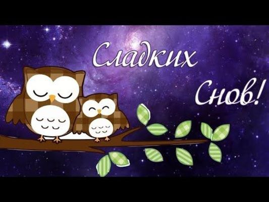 Открытка «Доброй ночи»: Спокойной ночи: две совы под звездным небом. Тэги: Спокойной ночи, Спокойной ночи, с пожелани…