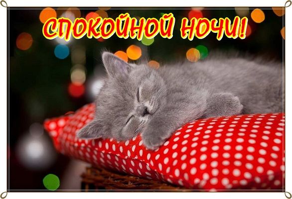 Открытка «Доброй ночи»: Спокойной ночи: милый серый котенок на красной подушке. Тэги: Спокойной ночи, Спокойной ночи…