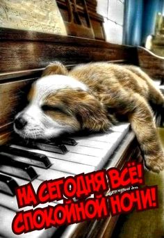 Открытка «Доброй ночи»: Спокойной ночи: милый щенок на пианино. Тэги: Спокойной ночи, Спокойной ночи, с пожеланиями…