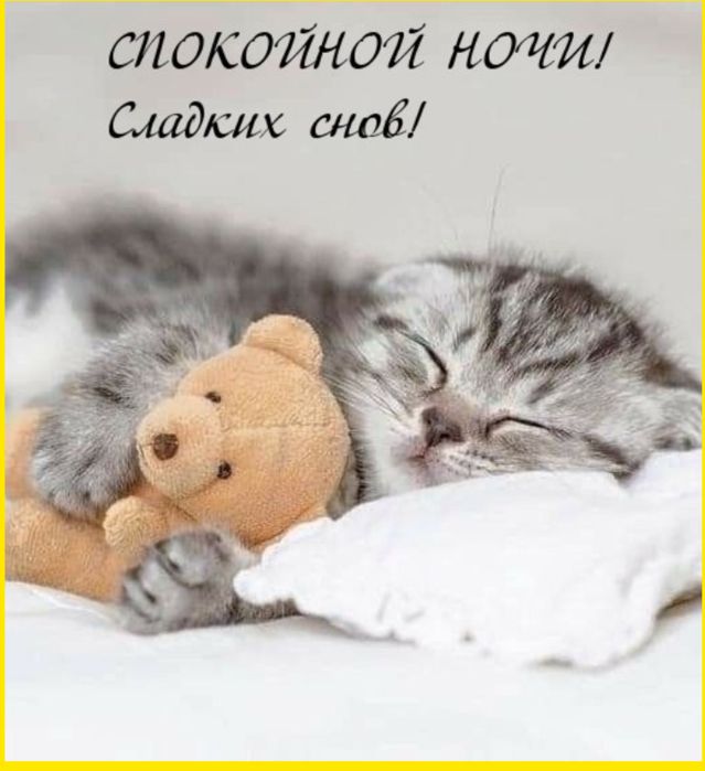 Открытка «Доброй ночи»: Доброй ночи: Сладких снов с милым котенком. Тэги: Спокойной ночи, Спокойной ночи, с пожелания…