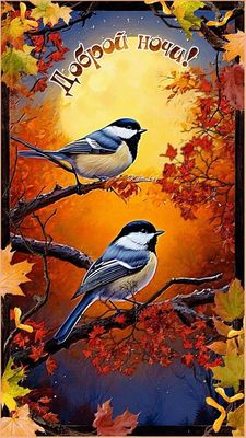 Открытка «Доброй ночи»: Спокойной ночи: две синички в осеннем лесу. Тэги: Спокойной ночи, Спокойной ночи, красивые…