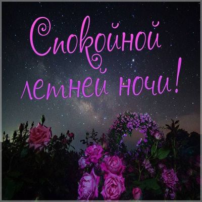 Открытка «Доброй ночи»: Спокойной ночи: Красивая открытка с летними розами. Тэги: Спокойной ночи, Спокойной ночи…