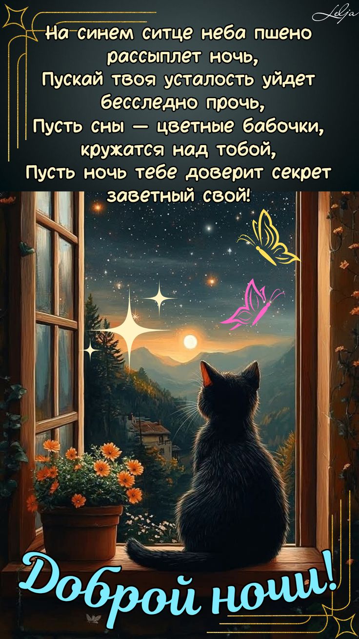 Открытка «Доброй ночи»: Доброй ночи: черный кот на окне и цветные сны. Тэги: Спокойной ночи, Спокойной ночи, красивые…