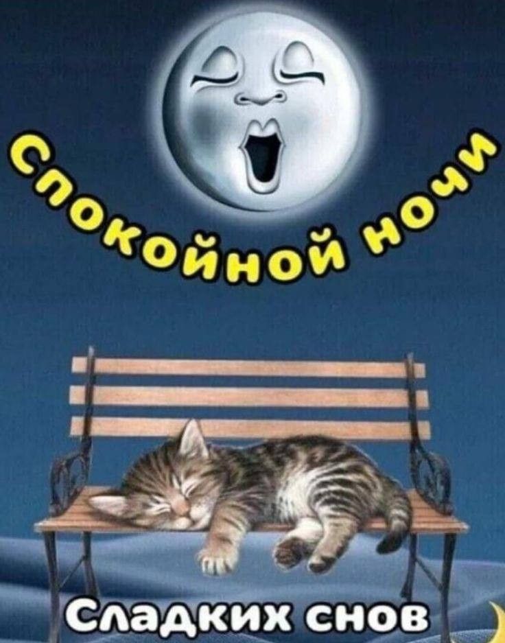 Открытка «Доброй ночи»: Спокойной ночи: милый котик на лавочке под луной. Тэги: Спокойной ночи, Спокойной ночи…