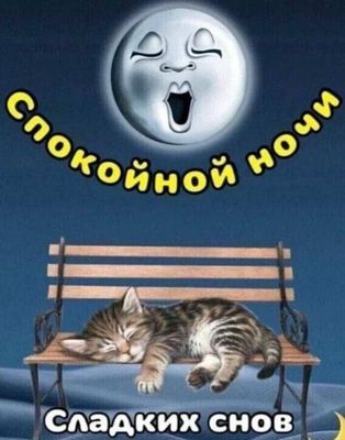 Открытка «Доброй ночи»: Спокойной ночи: милый котик на лавочке под луной. Тэги: Спокойной ночи, Спокойной ночи…