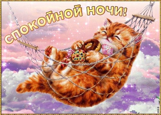 Открытка «Доброй ночи»: Доброй ночи: рыжий кот в гамаке со сладостями. Тэги: Спокойной ночи, Спокойной ночи, с пожела…
