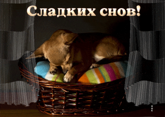 Открытка «Доброй ночи»: Доброй ночи: «Сладких снов!» с милой собачкой. Тэги: Спокойной ночи, Спокойной ночи, с пожела…
