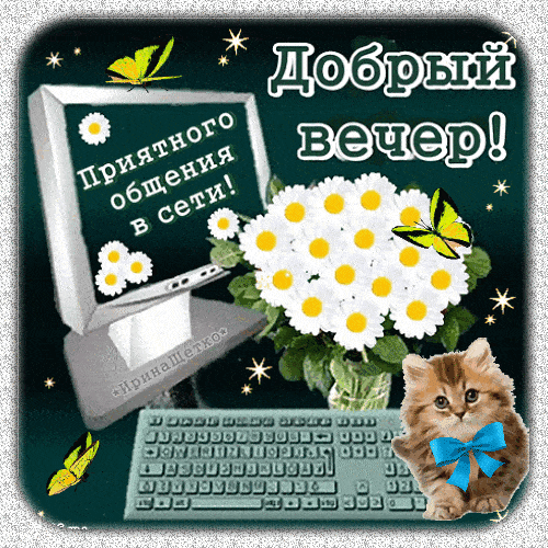 Открытка «Добрый вечер и пожелания»: Добрый вечер: Приятного общения в сети с милым котиком. Тэги: Доброго вечера и х…