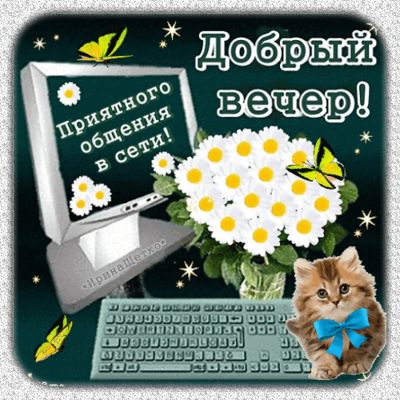 Открытка «Добрый вечер и пожелания»: Добрый вечер: Приятного общения в сети с милым котиком. Тэги: Доброго вечера и х…