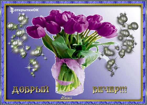 Открытка «Добрый вечер женщине»: Добрый вечер: красивый букет тюльпанов. Тэги: Доброго вечера и хорошего настроения…