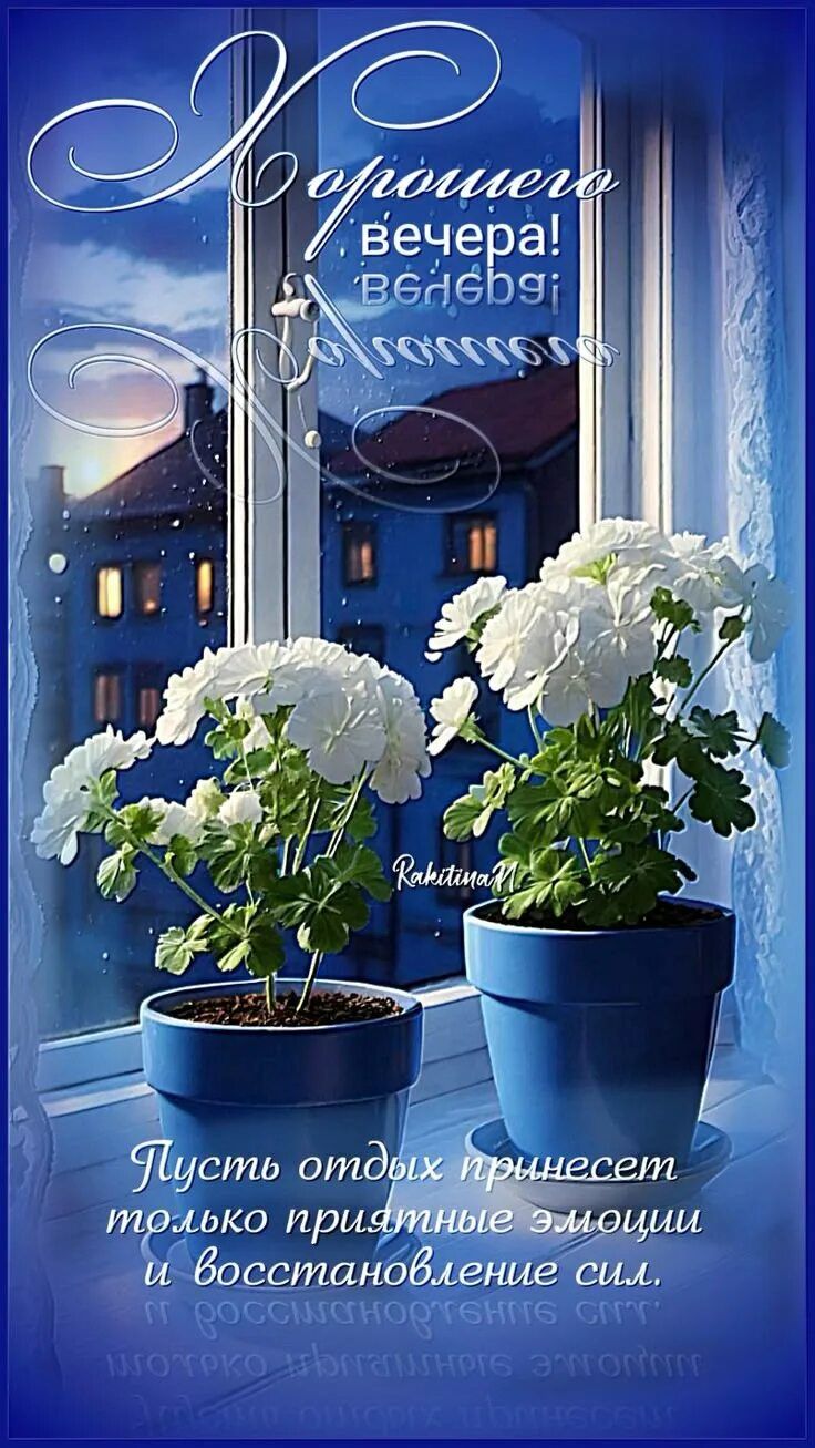 Открытка «Хорошего вечера»: Добрый вечер: белые цветы и пожелание отдыха. Тэги: пожелание, прекрасный, нежный, отдых…