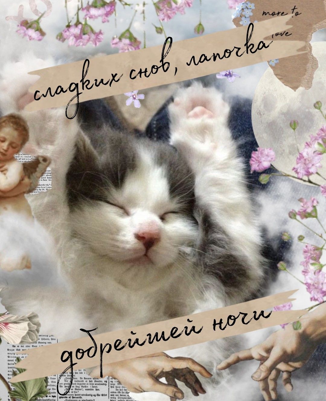 Открытка «Доброй ночи»: Спокойной ночи: милый котенок и нежное пожелание. Тэги: Спокойной ночи, пожелание, радость…