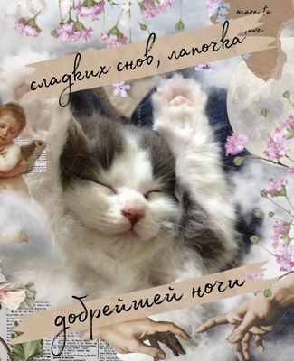 Открытка «Доброй ночи»: Спокойной ночи: милый котенок и нежное пожелание. Тэги: Спокойной ночи, Спокойной ночи…