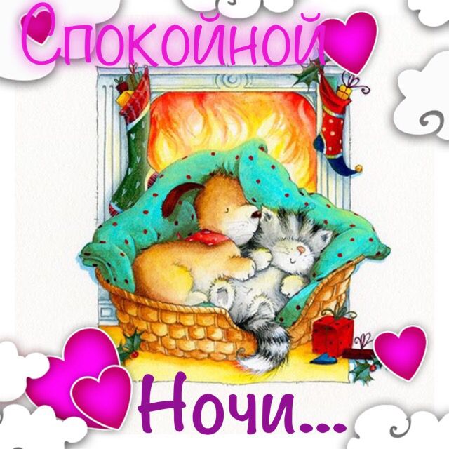 Открытка «Доброй ночи»: Спокойной ночи: Уютная открытка с котиком и собачкой. Тэги: Спокойной ночи, Спокойной ночи…