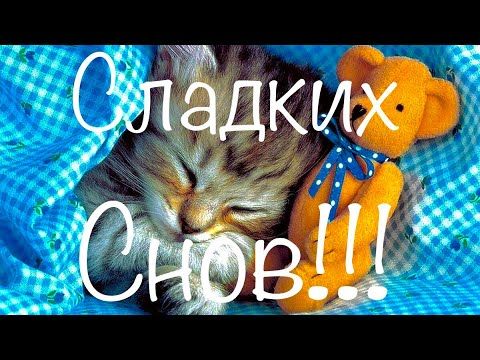 Открытка «Доброй ночи»: Спокойной ночи: Котёнок с мишкой. Тэги: Спокойной ночи, Спокойной ночи, с пожеланиями, Доброй…