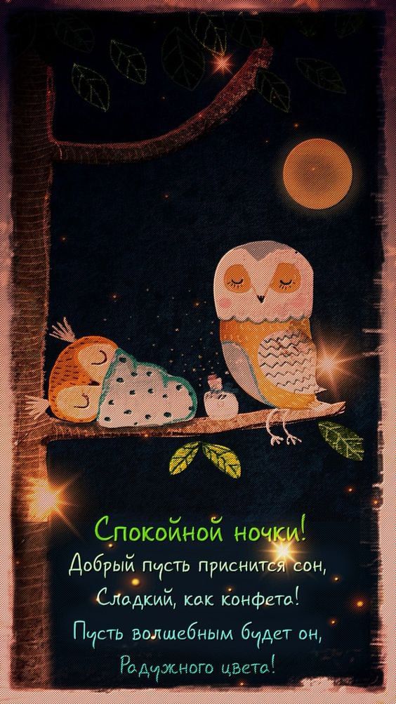 Открытка «Доброй ночи»: Спокойной ночи: Волшебное пожелание и милые совы. Тэги: Спокойной ночи, Спокойной ночи…